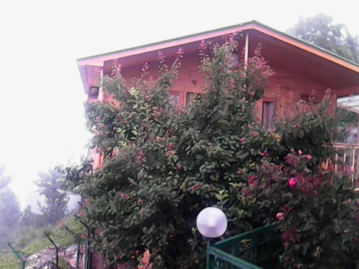 Snow King Retreat: Himalayan Views & Mountain Luxury Hotel Kufri