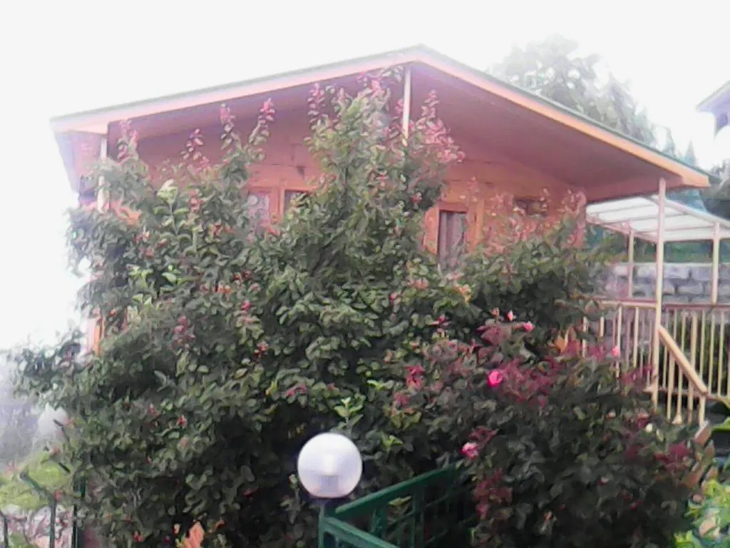 Snow King Retreat: Himalayan Views & Mountain Luxury Hotel Kufri 4*,  India