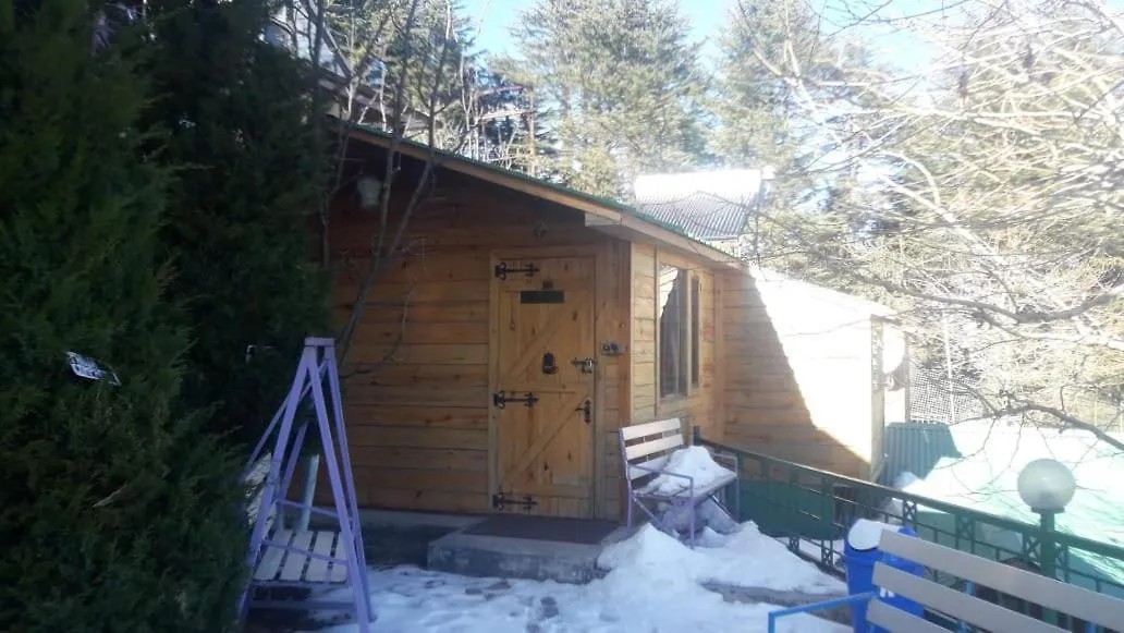 Snow King Retreat: Himalayan Views & Mountain Luxury Hotel Kufri