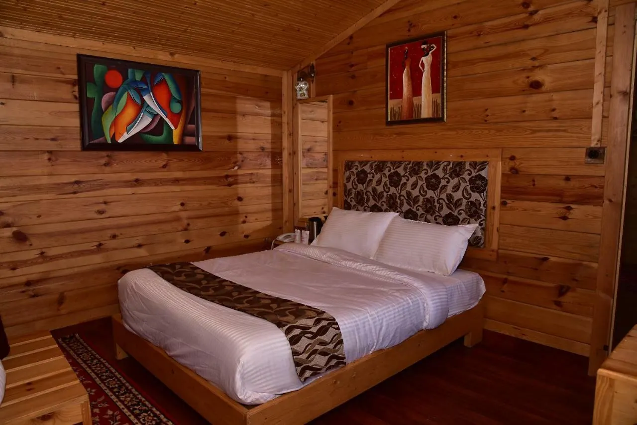 Snow King Retreat: Himalayan Views & Mountain Luxury Hotel Kufri